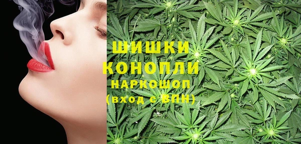 а пвп мука Инта